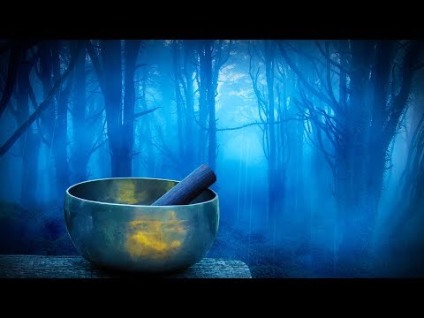 Rain in Woods + Tibetan Bowls | Relax, Study or Sleep with White Noise Music | 10