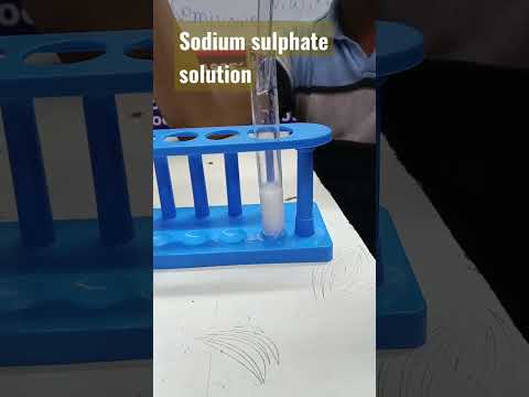 Sodium sulphate and barium chloride|| Class 10 NCERT science activity 1.10 #class10science 