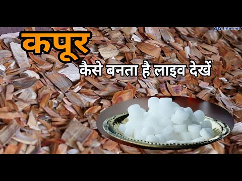 कपूर कैसे बनता है लाइव देखें | Capoor making machine