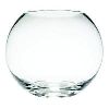 Round Glass Bowl